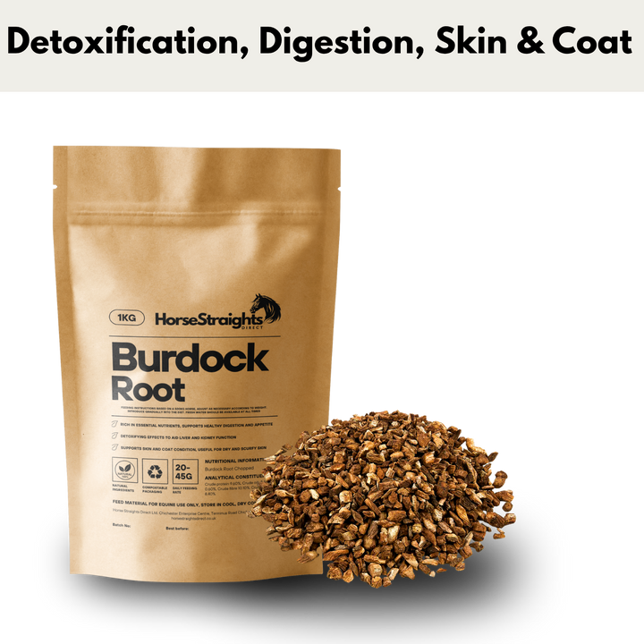 Burdock Root