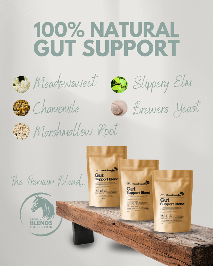 Gut Support Blend