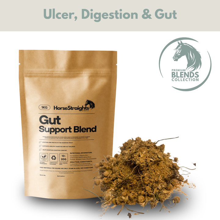 Gut Support Blend