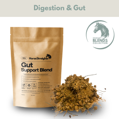 Gut Support Blend