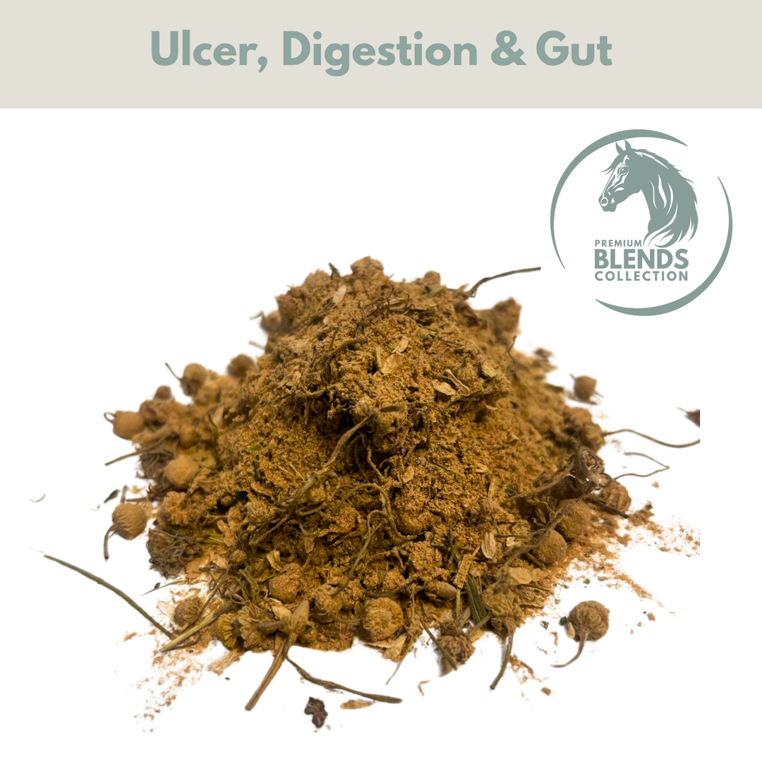 Gut Support Blend
