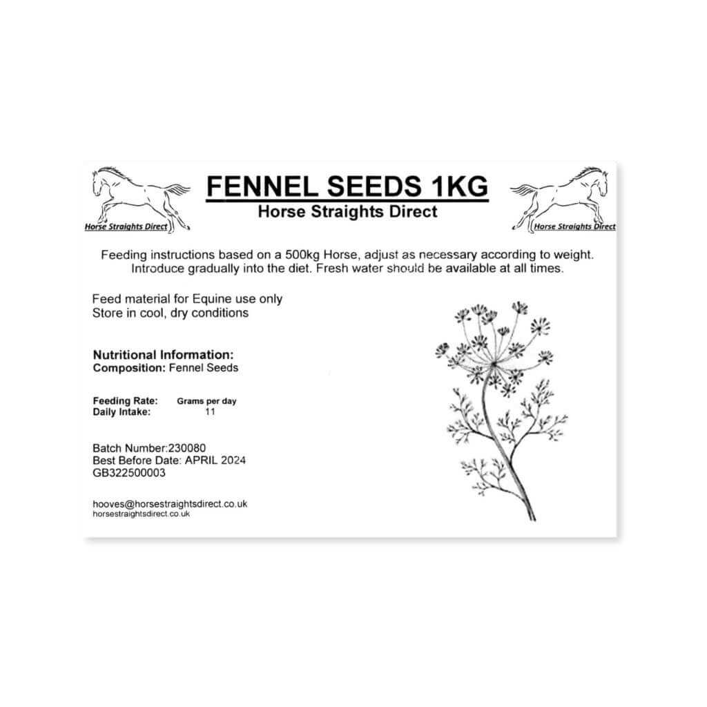 Fennel Seeds