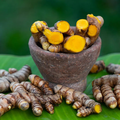 Turmeric