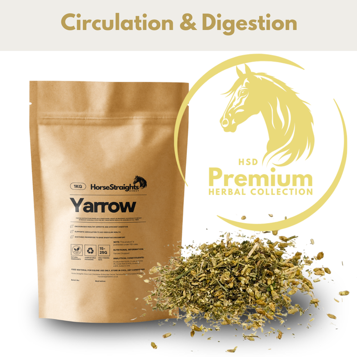 Yarrow