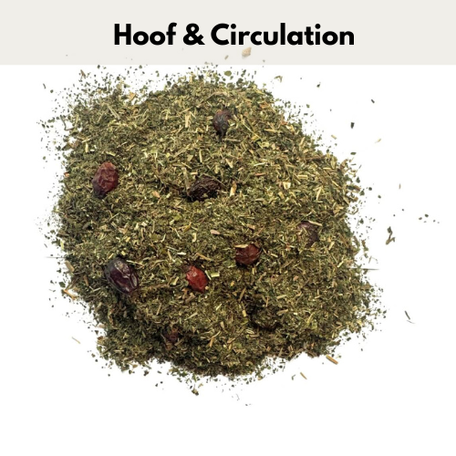 Healthy Hoof Support Blend