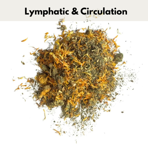 Lymphatic Support Blend