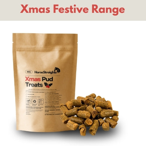 Xmas Pud Treats