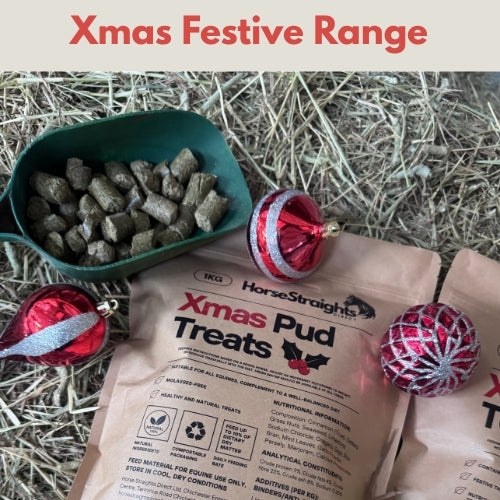 Xmas Pud Treats
